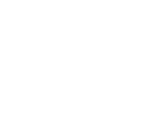 木のぬくもりが息づく住空間